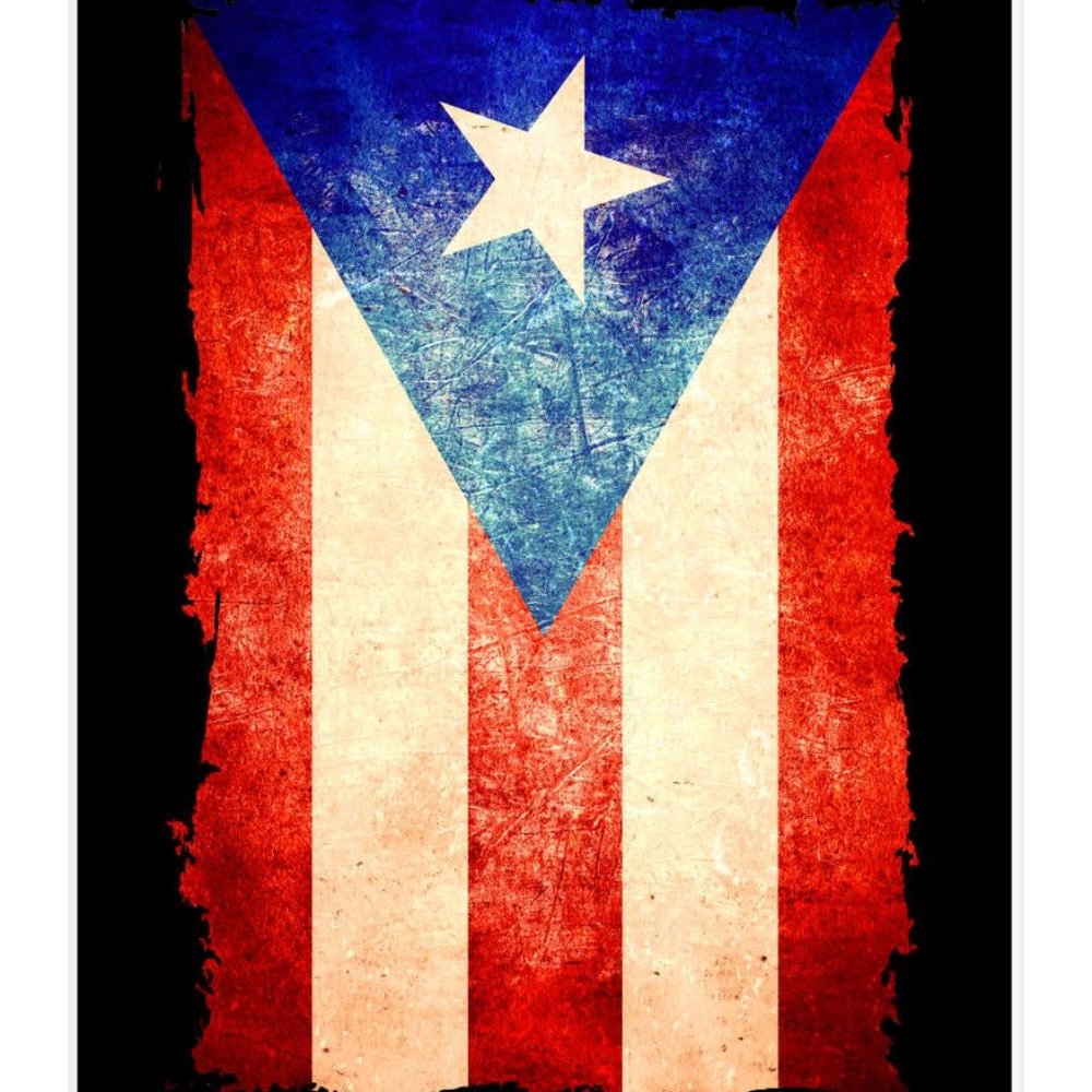 Meet your Posher, Evy